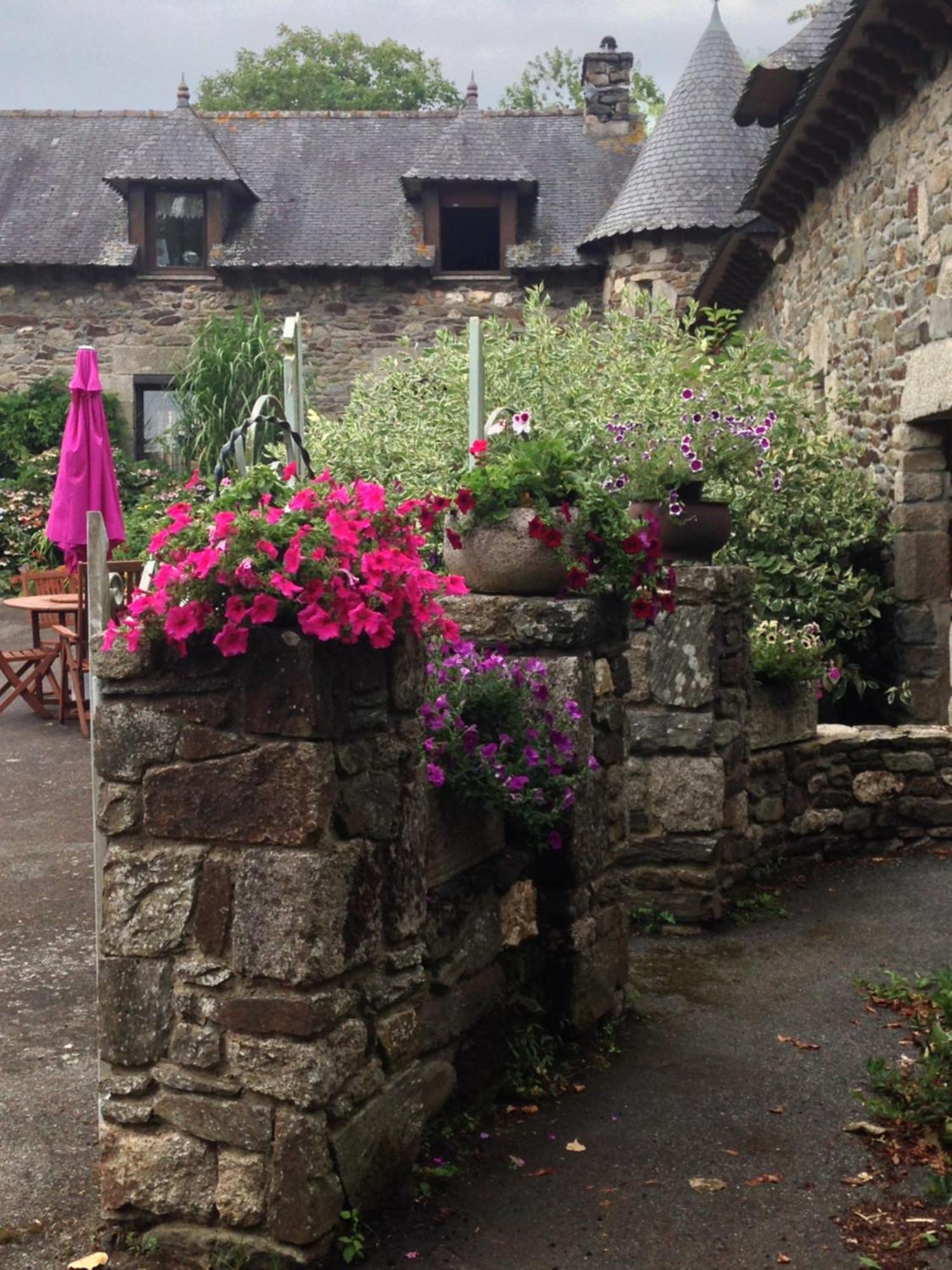 Le Petit Chateau, Matisse Noyal-Pontivy Luaran gambar